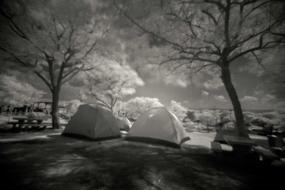 image banner