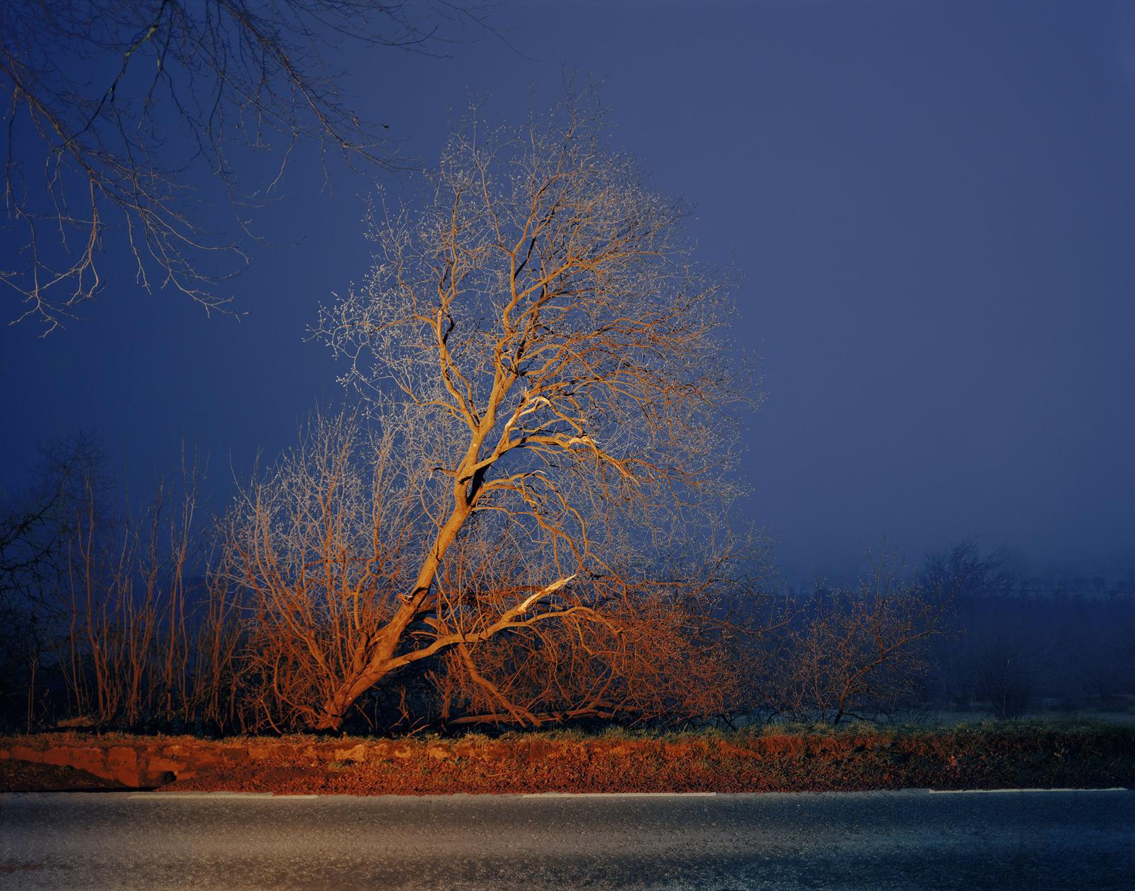 Gerard Byrne A country road. A tree. Evening: Cruagh, on the road between Kilakee and Tibradden, Dublin Mountians. C-print, mntd