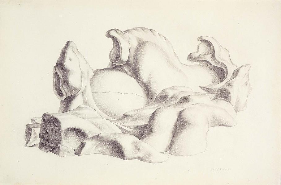 Nest, 1965 graphite on paper 27 1/4" x 41&quo...
