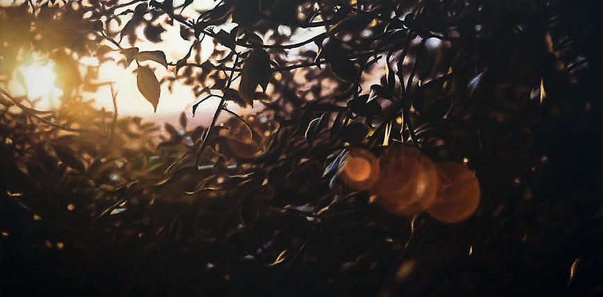 Damian Loeb, "Hypnogogia," 2008
Oil on linen, 12 x 24 inches