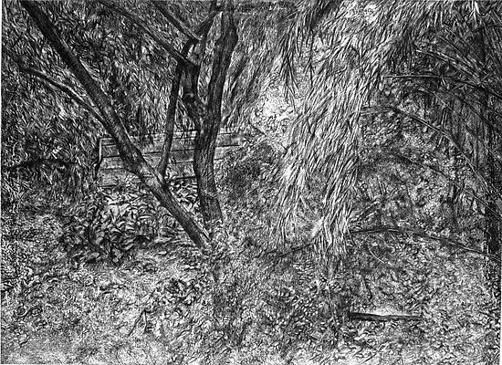 Lucian Freud, "The Painter's Garden," 2003-4, Edition of 46
Etching on Somerset white paper
Sheet: 30 1/2 x 39 3/8 inches
Plate: 25 5/8 x 34 3/4 inches Image