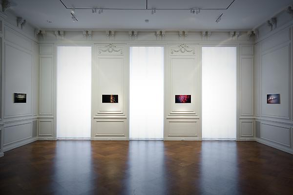 Installation from "Synesthesia, Parataxic Distortion, and the Shadow: A Show of Paintings by Damian Loeb" at Acquavella Galleries
September 5 - October 4, 2008 Image