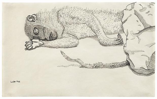 Lucian Freud, "Dead Monkey"
1944
Ink on paper, 7 7/8 x 12 3/4 in. (20 x 32.5 cm)
Private Collection
© The Lucian Freud Archive 
Photo © The Lucian Freud Archive Image