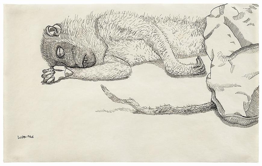 Lucian Freud, "Dead Monkey"
1944
Ink on paper, 7 7/8 x 12 3/4 in. (20 x 32.5 cm)
Private Collection
© The Lucian Freud Archive 
Photo © The Lucian Freud Archive
