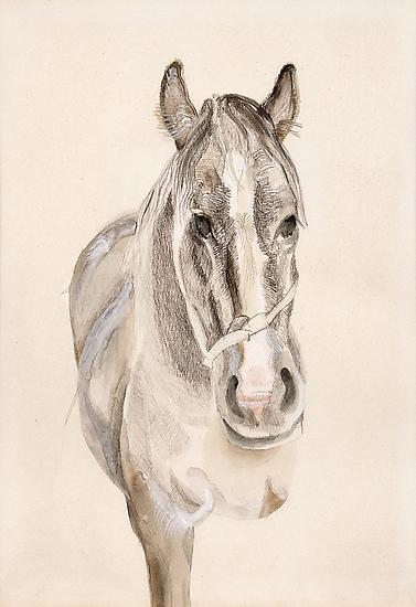 Lucian Freud, "A Filly"
1969
Pencil and watercolor on paper
13 5/8 x 9 1/2 inches (34.5 x 24 cm)
Private Collection
© The Lucian Freud Archive
Photo © Lucian Freud Archive