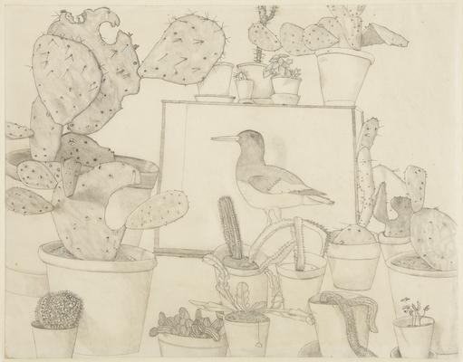 Lucian Freud, "Cacti and Stuffed Bird," 1943
Pencil and colored crayon on paper
16 3/4 x 21 1/2 inches
Art © The Lucian Freud Archive / Bridgeman Images Image