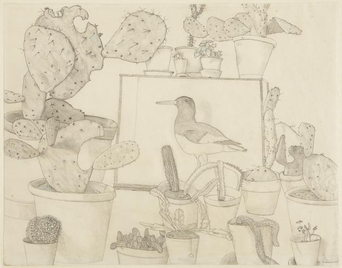 Lucian Freud, "Cacti and Stuffed Bird," 1943
Pencil and colored crayon on paper
16 3/4 x 21 1/2 inches
Art © The Lucian Freud Archive / Bridgeman Images