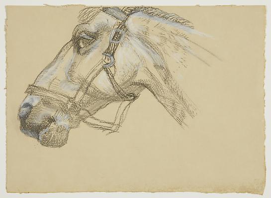Lucian Freud, "Head of Success II"
1983
Charcoal and crayon on paper
9 1/2 x 13 1/4 inches (24.1 x 33.7 cm)
Acquavella Galleries
© The Lucian Freud Archive Image
