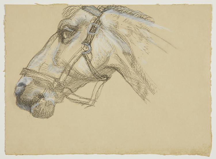 Lucian Freud, "Head of Success II"
1983
Charcoal and crayon on paper
9 1/2 x 13 1/4 inches (24.1 x 33.7 cm)
Acquavella Galleries
© The Lucian Freud Archive