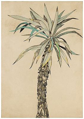 Lucian Freud, "Palm Tree"
1942
Pastel, chalk and ink on paper
24 1/4 x 17 1/8 inches (61.5 x 43.5 cm)
Freud Museum, London
© The Lucian Freud Archive
Photo © Lucian Freud Archive Image