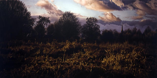 Damian Loeb, "Straw Dogs," 2008
Oil on linen, 36 x 84 inches Image