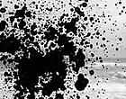 After Color Curated by amani olu Thumbnail