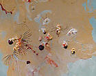 Rina Banerjee Thumbnail