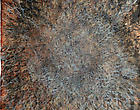 Group Show Curated by Heidi Fichtner Thumbnail