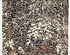 Group Show Curated by Heidi Fichtner Thumbnail