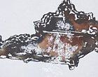 Mithu Sen Thumbnail