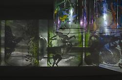 MoMA acquires Nalini Malani’s Gamepieces