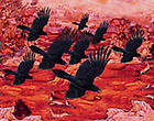 Sheba Chhachhi Thumbnail