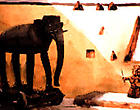 Sanjay Bhattacharyya, Thumbnail