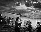 Trent Parke Thumbnail