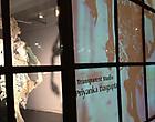 Transparent Studio: Priyanka Dasgupta Thumbnail
