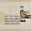 A Short History, 1981
Collage on paper
26 ½ x 43 inches