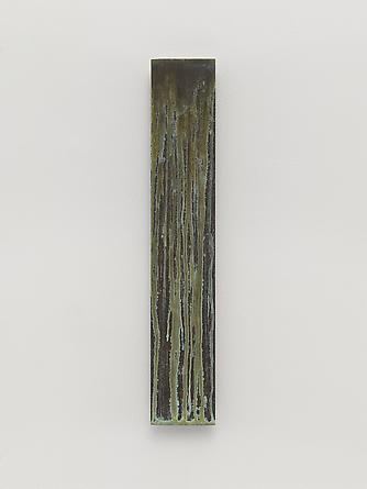DOVE BRADSHAW
Without Title, 1994
Copper & ammonium chloride copper sulfate
14 x 3 x ¾ inches