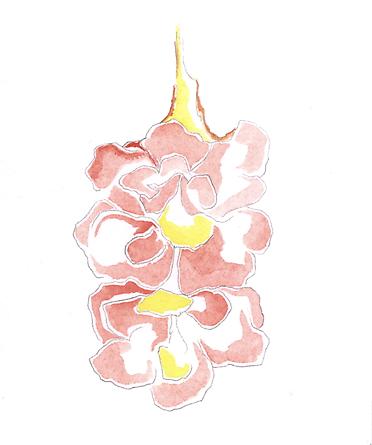 Untitled (2011-5-27), 2011
Gouache & graphite on board
6 x 5 inches