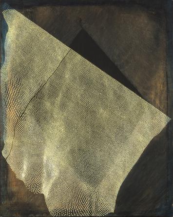 image 28