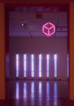 Installation: San Jose Museum of Art, San Jose, CA 2010