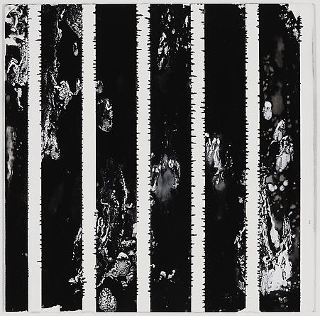 image 29
