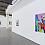 Installation view: Todd James, King of the Wild Frontier