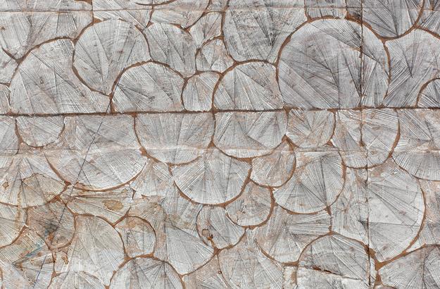 Untitled (detail)
2014
white-out,crayon,pencil drawing on found paper
121 x 408 cm