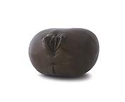 Torso III
2008
ed. 5
bronze
19 cm