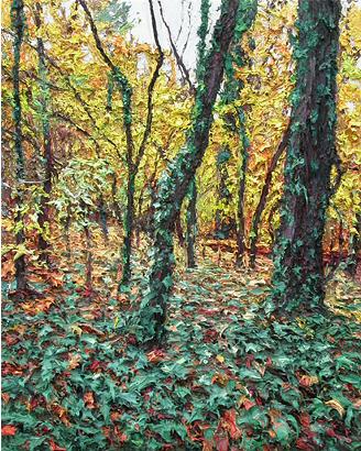 Carpet of Vines 
2005
oil on wood panel
51 x 40.5 cm