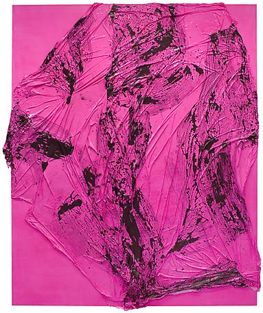 Smudge up
2009
acrylic on canvas
262 x 215 cm