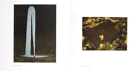DAN WOLGERS - Cire Perdue

Softback
20 x 20 cm
12 pp
Illustrated throughout
Text by the artist 
Published by Lars Bohman Gallery 2007
Swedish
Price: SEK 60