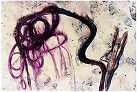 Untitled 
2010
oil on canvas
120 x 180 cm