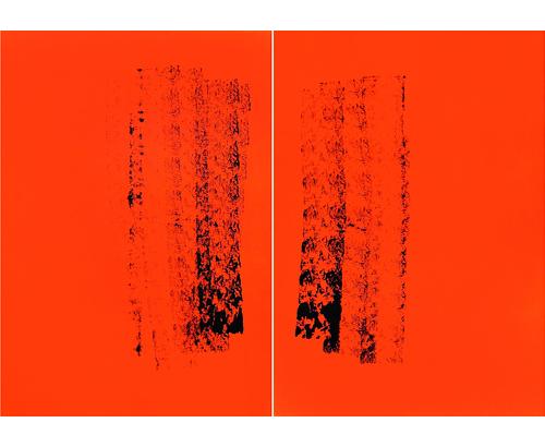 Idiot
2005
acrylic on canvas
230 x 325 cm