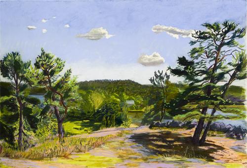 Stäket nr 11
2009
pastel on paper
84 x 115 cm