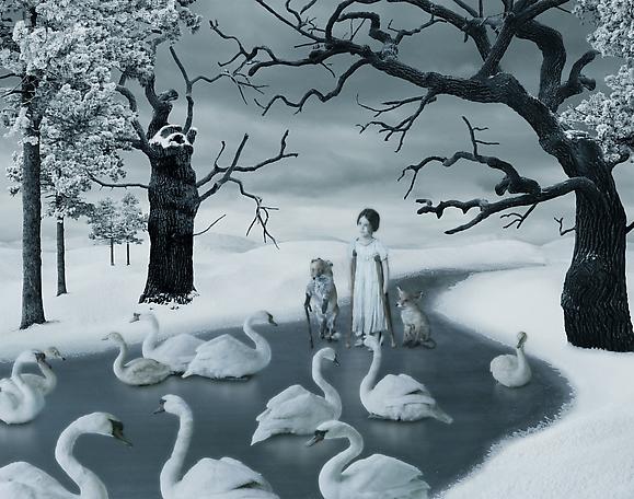 Among the Swans
2011
pigment print
90 x 112 cm