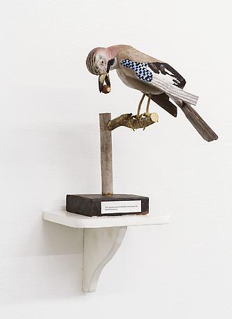 Claes Jurander
Illa uppstoppad nötskrika med passerat bästföredatum
2013
painted wood
47 x 27 x 25 cm