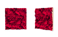 Carmin Ground, 2015/2016
pigmented polyvinyl, polyurethane
50 x 50 cm