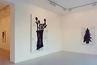 Donald Bachler