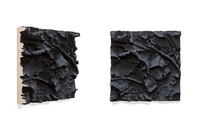 Desat Ground, 2015/2016
pigmented polyvinyl, polyurethane
50 x 50 cm