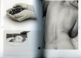 FUKT #15 about Vanna Bowles