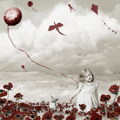 Bibliophile
Field of Red Anemones
2012
Pigment Print
29 x 29 cm
Ed. 100

12000 SEK