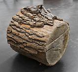 Ziegenmelker
2014
oak, plaster and papier machée
47 x 34 x 40 cm