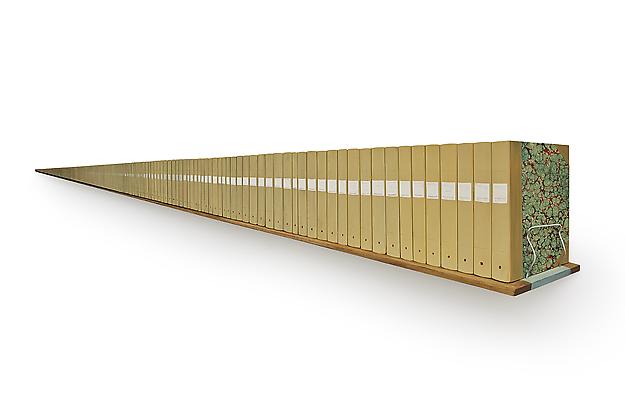 Bibliothéque du Fakir
2013
wood and paper
39 x 144 x 13 cm