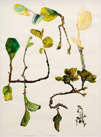 Lövstudie
2011
watercolour, pressed plants
56 x 76 cm